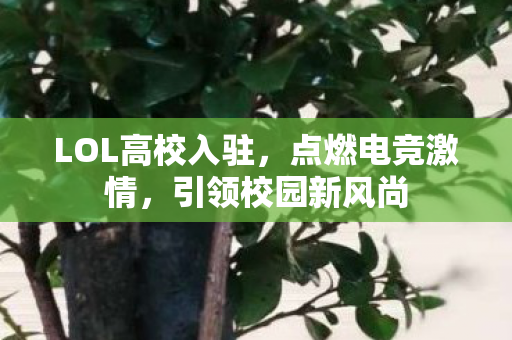 LOL高校入驻，点燃电竞激情，引领校园新风尚