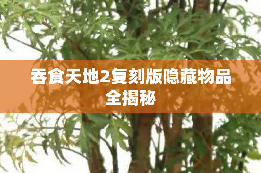 吞食天地2复刻版隐藏物品全揭秘