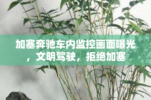 加塞奔驰车内监控画面曝光，文明驾驶，拒绝加塞