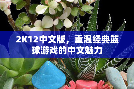 重温经典篮球游戏的中文魅力图片