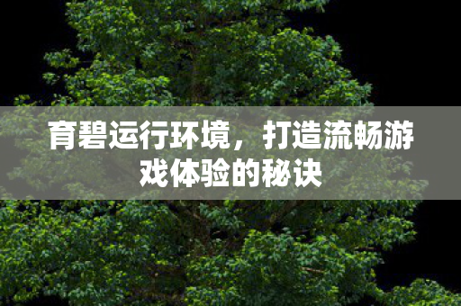 打造流畅游戏体验的秘诀图片