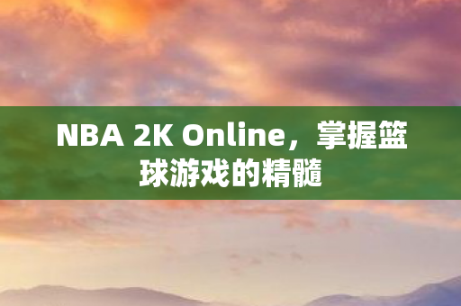 NBA 2K Online图片