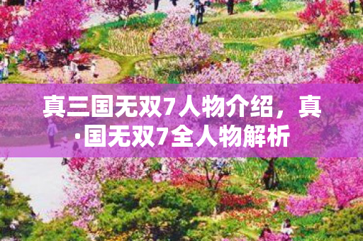 真三国无双7人物介绍图片