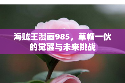 海贼王漫画985，草帽一伙的觉醒与未来挑战