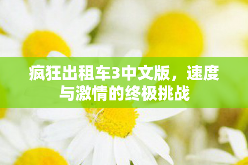 疯狂出租车3中文版，速度与激情的终极挑战