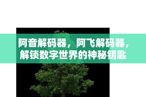 解锁数字世界的神秘钥匙图片