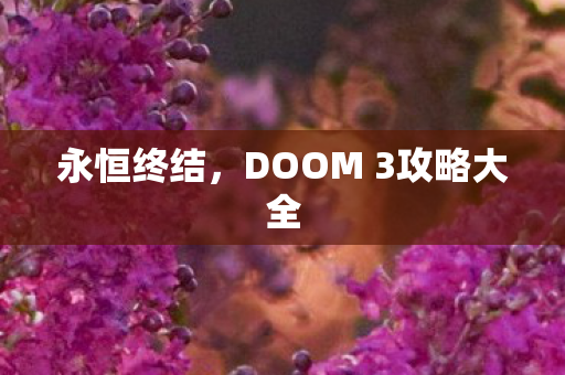 永恒终结，DOOM 3攻略大全