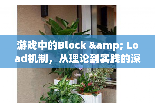 从理论到实践的深度解析图片