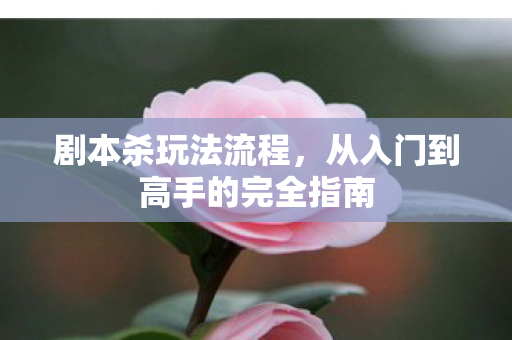 从入门到高手的完全指南图片