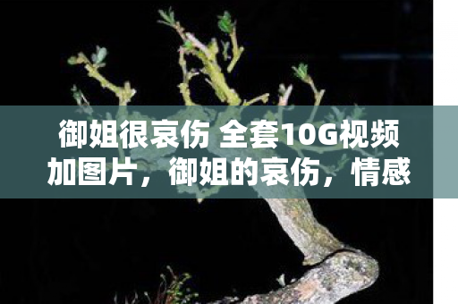 御姐很哀伤 全套10G视频加图片图片