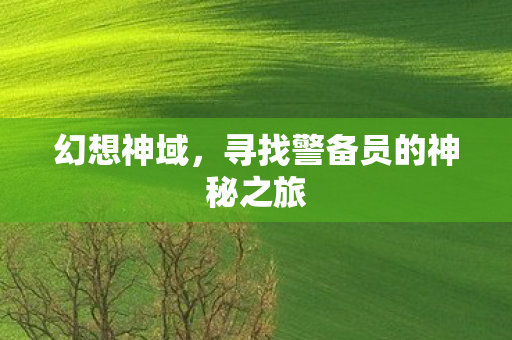 寻找警备员的神秘之旅图片