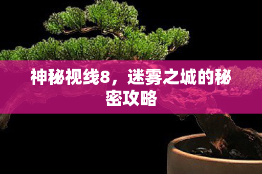 迷雾之城的秘密攻略图片