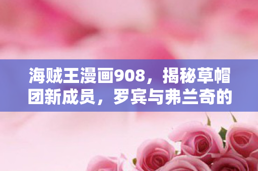 罗宾与弗兰奇的默契配合图片