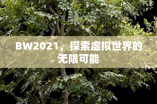 探索虚拟世界的无限可能图片