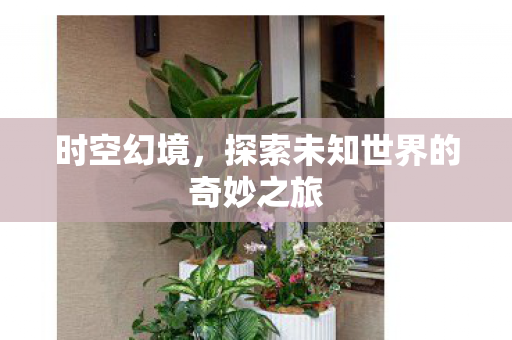 探索未知世界的奇妙之旅图片