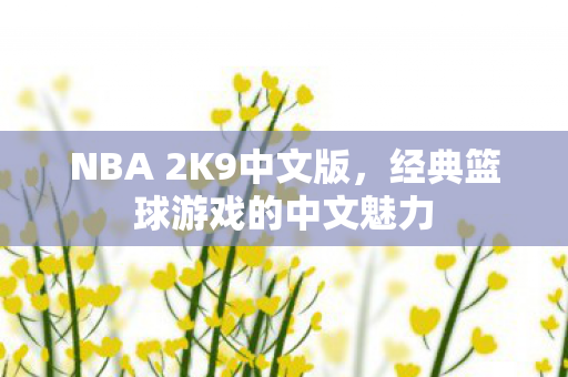 经典篮球游戏的中文魅力图片