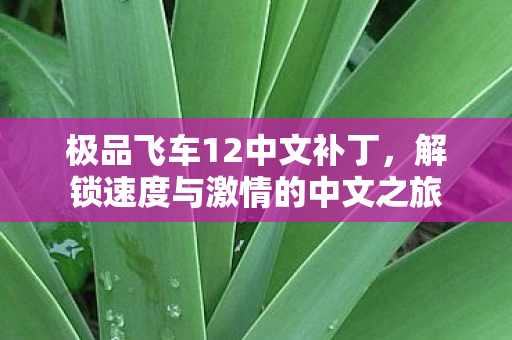 解锁速度与激情的中文之旅图片