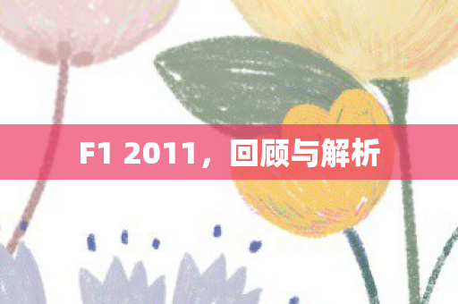 F1 2011图片