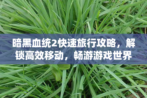 暗黑血统2快速旅行攻略图片