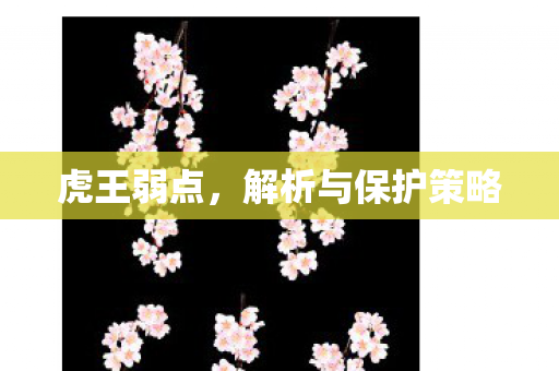 解析与保护策略图片