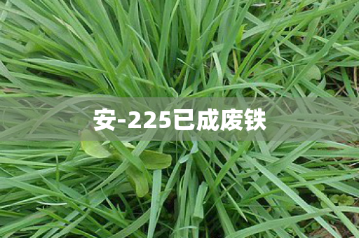 225已成废铁图片