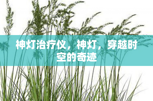 穿越时空的奇迹图片