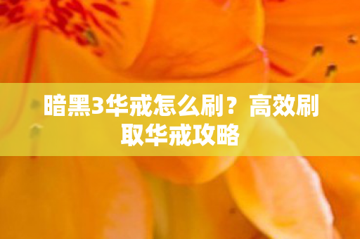 暗黑3华戒怎么刷图片