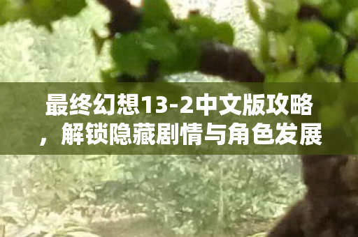 最终幻想13-2中文版攻略，解锁隐藏剧情与角色发展