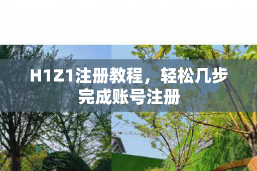 轻松几步完成账号注册图片