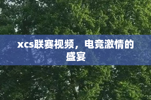 xcs联赛视频图片