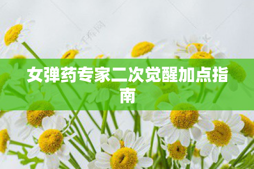 女弹药专家二次觉醒加点指南