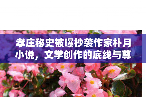 孝庄秘史被曝抄袭作家朴月小说，文学创作的底线与尊重