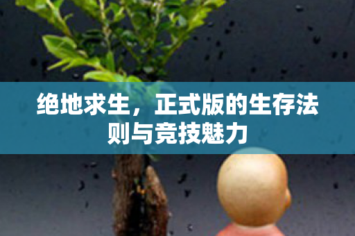 绝地求生，正式版的生存法则与竞技魅力