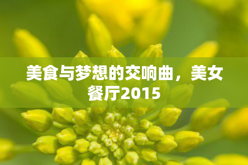 美食与梦想的交响曲，美女餐厅2015