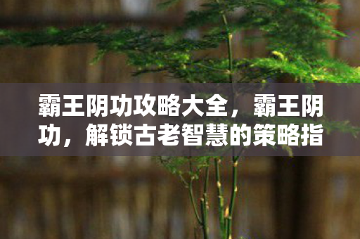 解锁古老智慧的策略指南图片