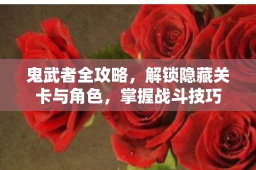 鬼武者全攻略，解锁隐藏关卡与角色，掌握战斗技巧