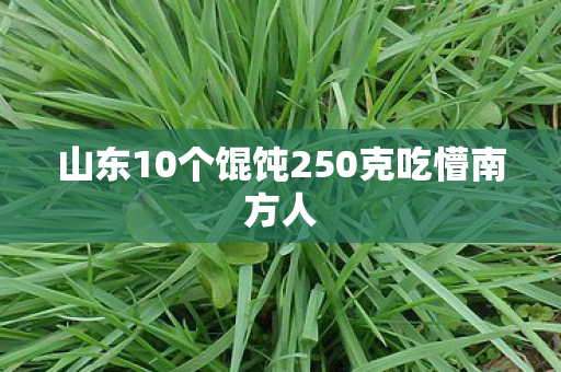 山东10个馄饨250克吃懵南方人