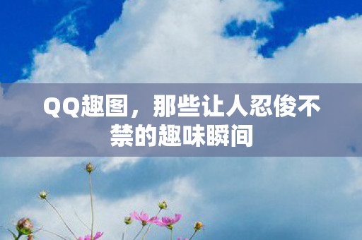 QQ趣图，那些让人忍俊不禁的趣味瞬间