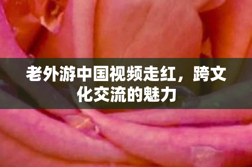 老外游中国视频走红,跨文化交流的魅力 老外游中国视频走红,跨文化交流的魅力