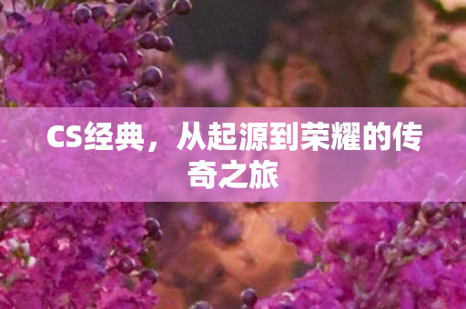 CS经典，从起源到荣耀的传奇之旅