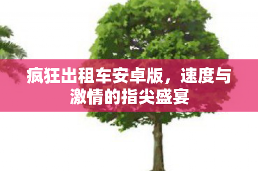 疯狂出租车安卓版，速度与激情的指尖盛宴