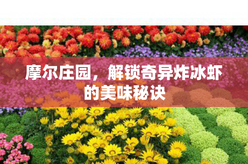 摩尔庄园，解锁奇异炸冰虾的美味秘诀