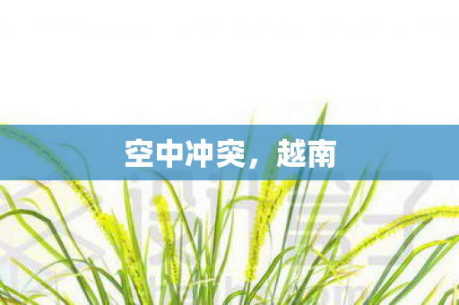 空中冲突，越南