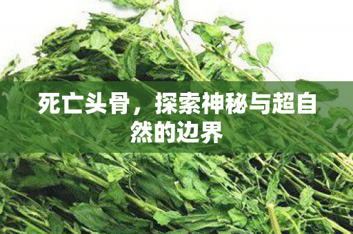 死亡头骨，探索神秘与超自然的边界