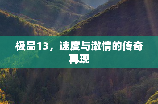 极品13，速度与激情的传奇再现