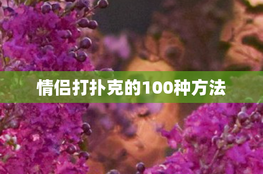 情侣打扑克的100种方法