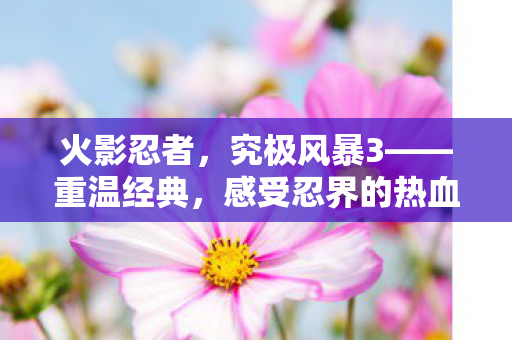 火影忍者，究极风暴3——重温经典，感受忍界的热血与感动