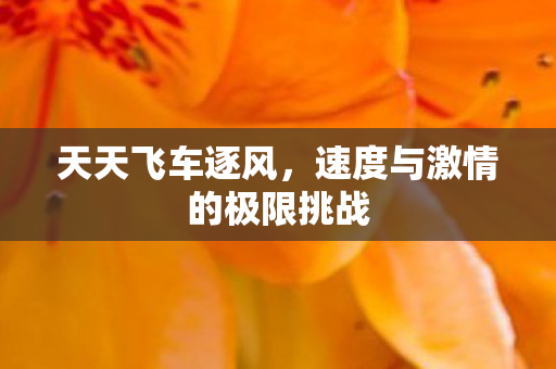 天天飞车逐风，速度与激情的极限挑战