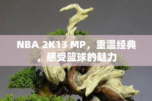 NBA 2K13 MP,重温经典,感受篮球的魅力 NBA 2K13 MP,重温经典,感受篮球的魅力