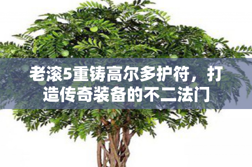 老滚5重铸高尔多护符，打造传奇装备的不二法门